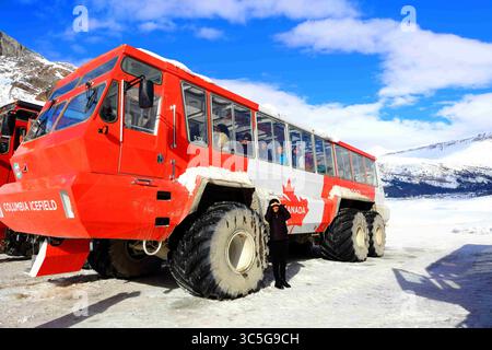6 octobre 2018, Lake Louise, Alberta, Canada : une jeune femme est éclipsée par les pneus d'équipement lourd géants des entraîneurs de neige du glacier Columbia Icefield, par une journée ensoleillée, sous un ciel bleu profond, près de Lake Louise, Alberta, Canada. (Crédit image : © Chuck David / Vwpics/VW pics via ZUMA Wire) Banque D'Images