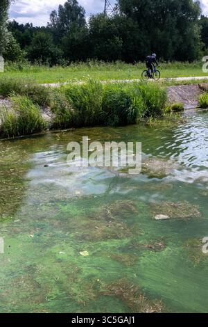 Oelegem, Belgique. 30 juillet 2025. La photo montre des algues bleu-vert dans Albert canal, à Oelegem, le mercredi 30 juillet 2025. BELGA PHOTO JONAS ROOSENS crédit : Belga News Agency/Alamy Live News Banque D'Images