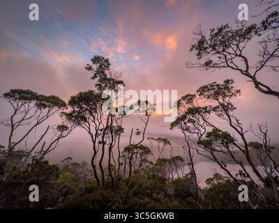 Parc national de Cradle Mountain, Tasmanie, Australie. Banque D'Images