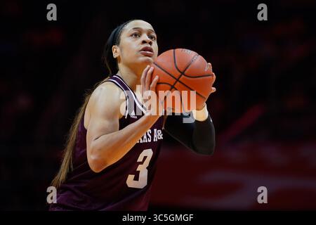 16 février 2020 : Chennedy carter #3 des Texas A&M Aggies tire un lancer franc pendant le match de basket-ball de la NCAA entre les volontaires Lady de l'Université du Tennessee et les Texas A&M University Aggies à Thompson Boling Arena à Knoxville TN Tim Gangloff/CSM(crédit image : &copy ; Tim Gangloff/CSM via ZUMA Wire) Banque D'Images