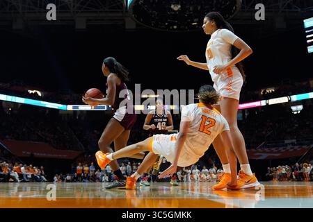 16 février 2020 : Rae Burrell #12 des Tennessee Lady vols prend la charge de Kayla Wells #11 des Texas A&M Aggies lors du match de basket-ball de la NCAA entre les bénévoles de l'Université du Tennessee Lady et les Texas A&M University Aggies à Thompson Boling Arena à Knoxville TN Tim Gangloff/CSM(crédit image : &copy ; Tim Gangloff/CSM via ZUMA Wire) Banque D'Images