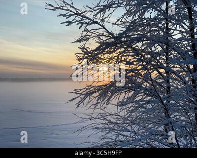 Un coucher de soleil hivernal époustouflant illumine un arbre enneigé et un horizon brumeux. Banque D'Images