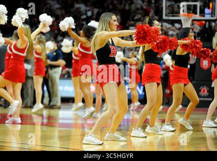 19 février 2020, Piscataway, New Jersey, États-Unis : 19 février, 2020 : les cheerleaders de l'Université Rutgers jouent pendant le match contre l'Université du Michigan. Le Michigan a gagné 60-52. Le match a été joué au Louis Brown Athletic Center, Piscataway, NJ (crédit image : © Bennett Cohen/ZUMA Wire) Banque D'Images