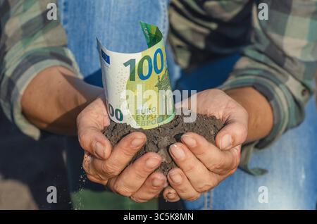 Palmiers fermiers avec terre avec billet de 100 euros. Affaires vertes, écologie. Concept d'investissement dans l'agriculture. Gros plan Banque D'Images