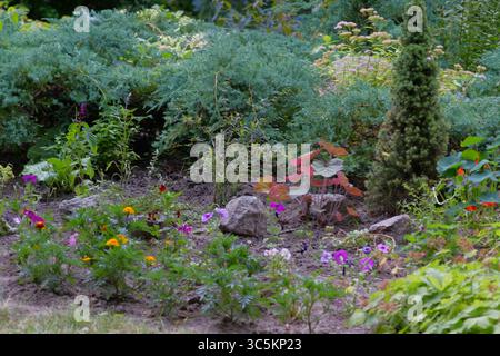 Syrets dendropark à Kiev, Ukraine. Aménagement paysager, plantes décoratives et fleurs. Banque D'Images