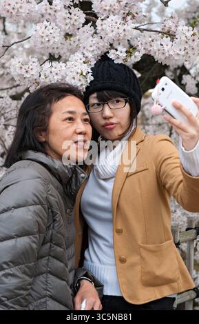 Les Japonais dehors au printemps pour le hanami (observation des cerisiers en fleurs) appréciant les arbres fleuris à Himeji, Hyogo, Japon. Banque D'Images