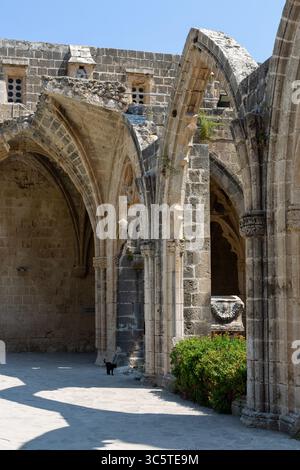 Abbaye de Bellapais, Chypre du Nord Banque D'Images