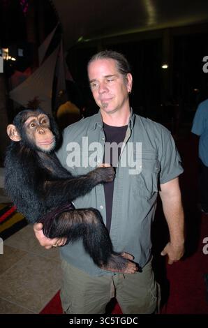 2 décembre 2004, Miami Beach, Floride, États-Unis d'Amérique : MIAMI BEACH, FL - AVRIL 30 : (COUVERTURE EXCLUSIVE) de la série télévisée à succès Netflix Bhagavan Ã'DocÃ“ Antle possède l'Institut pour les espèces très menacées et rares, (T.I.G.E.R.S.) de Myrtle Beach, Caroline du Sud vu ici en 2004 dans une image rare avec des bulles The Chimp à Miami Beach, Floride..personnes : Bhagavan Ã'DocÃ“ Antle (crédit image : © via ZUMA Wire) Banque D'Images