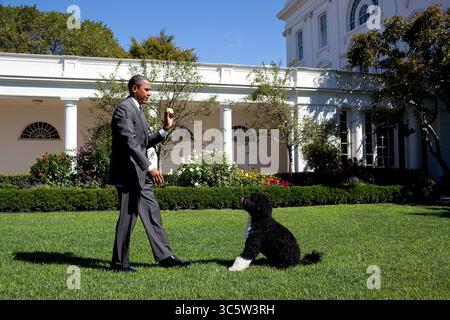 Sep 9, 2010 - Washington, District of Columbia, USA - le président américain BARACK OBAMA lance une balle de tennis pour le chien familial BO à la Rose Garden de la Maison Blanche. (Crédit image : © Pete Souza/la Maison Blanche/ZUMAPRESS.com) Banque D'Images