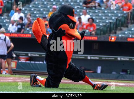 Baltimore, États-Unis. 30 juillet 2025. BALTIMORE, MD - JUILLET 30 : la mascotte des Orioles de Baltimore avant un match MLB entre les Orioles de Baltimore et les Blue Jays de Toronto, le 30 juillet 2025, à Oriole Park à Camden Yards, à Baltimore, Maryland. (Photo de Tony Quinn/SipaUSA) crédit : Sipa USA/Alamy Live News Banque D'Images