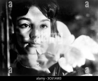 25 novembre 2019, États-Unis : Ingrid Andree, publicité toujours du film, ''le reste est silence'', allemand : ''Der Rest ist Schweigen'', 1959 (crédit image : © JT Vintage/Glasshouse via ZUMA Wire) Banque D'Images