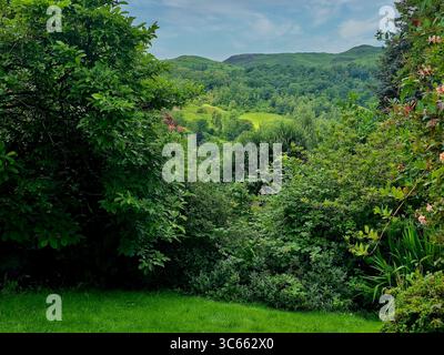 Vue typique du paysage autour d'Ambleside dans le Cumbrias Lake District Angleterre Banque D'Images