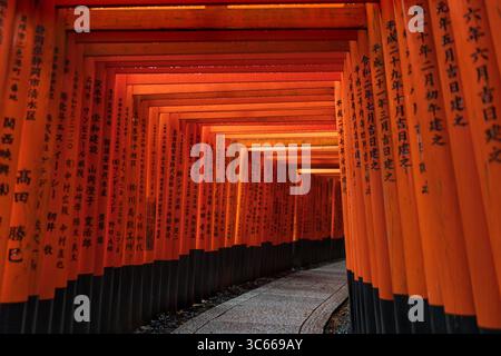 Vue des portes torii vermillon vibrantes bordant un chemin de pierre, créant un tunnel fascinant de couleurs et d'ombres, Sanctuaire Fushimi Inari, Kyoto, Kyoto, Japon. Banque D'Images