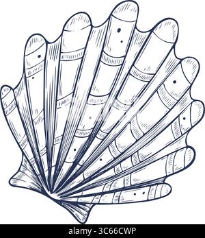 Illustration vectorielle de la coquille de contour avec des lignes de gravure dessinées à la main. Dessin gravé de Seashell en gravure vintage pour la conception nautique. Croquis linéaire de Scallop pour la décoration côtière. Illustration de Vecteur