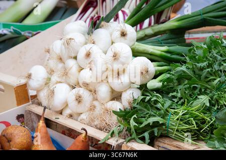 Une grande boîte en bois remplie de légumes comme les oignons et les poires Banque D'Images
