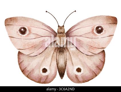 Papillon aquarelle délicat dans des tons bruns et roses doux avec des ailes détaillées et des taches oculaires, isolé sur fond blanc. Idéal pour les cartes, les impressions, b Banque D'Images