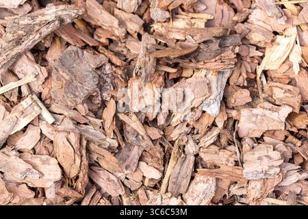 Paillis d'écorce d'arbre. Photo de paillis vue de dessus d'écorce d'arbre. Paillis de pin brun naturel pour la protection des plantes dans les parterres de fleurs et les pelouses Banque D'Images