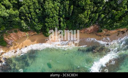 Vue aérienne des vagues s'écrasant sur une plage dorée bordée par une forêt verdoyante, créant un contraste saisissant de couleurs et de textures, Martinique, France. Banque D'Images