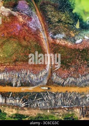 Vue aérienne de bûches flottant sur la rivière contrastant avec les tons terreux et verts vibrants du paysage environnant, Barek Tila, Sylhet Division, B. Banque D'Images