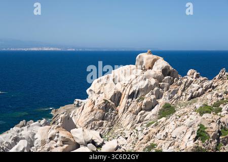 Santa Teresa di Gallura, Gallura, Sardaigne, Italie. Promontoire de granit surplombant le détroit de Bonifacio à Capo Testa, Corse visible en arrière-plan. Banque D'Images