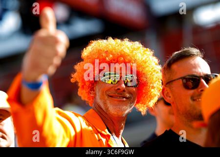 Budapest, Hongrie. 31 juillet 2025. Fans, Grand Prix de F1 de Hongrie à Hungaroring le 31 juillet 2025 à Budapest, Hongrie. (Photo de HOCH Zwei) crédit : dpa/Alamy Live News Banque D'Images