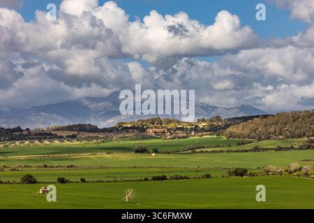 Paysage vallonné avec des champs et des pâturages et vue sur les montagnes de la Serra de Tramuntana avec le pic Massanella à Majorque, Îles Baléares, Espagne Banque D'Images