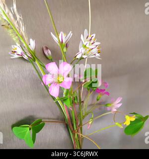 Petit bouquet de fleurs sauvages avec des fleurs roses, jaunes et blanches. La composition met en valeur la beauté délicate des espèces indigènes et la simplicité naturelle Banque D'Images