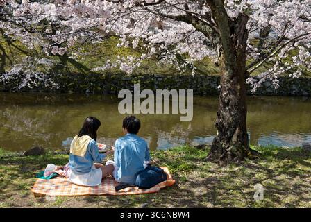 Couple japonais ayant un pique-nique sous les cerisiers en fleurs pendant l'événement printanier appelé 'hanami' (observation de fleurs) dans un parc à Hikone, au Japon. Banque D'Images