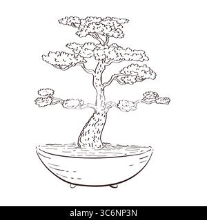 Dessin illustration de style croquis d'un arbre bonsaï en pot sur fond isolé fait en ligne noire et blanche branchée Illustration de Vecteur