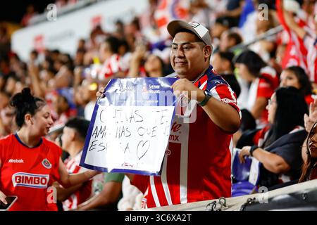 Harrison, NJ, États-Unis. 31 juillet 2025. Pendant le match, un fan fait la fête au Sports Illustrated Stadium à Harrison, NJ Les Red Bulls de New York battent Chivas de Guadalajara 1-0. Shaquan Woody/Cal Sport Media/Alamy Live News Banque D'Images