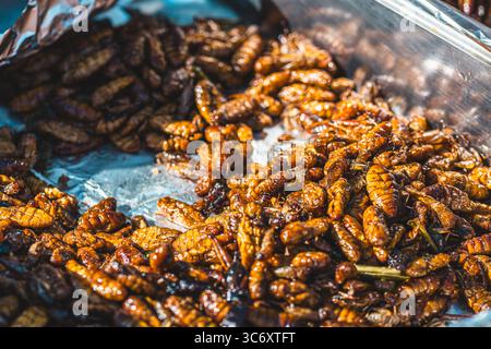 Sauterelles frites à un stand de nourriture de rue thaïlandais, insectes frits Banque D'Images
