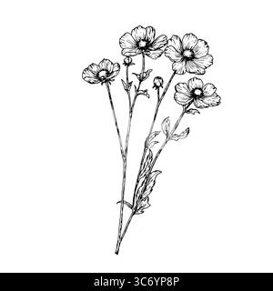 Fleurs sauvages de forêt avec des feuilles et des bourgeons, croquis noir et blanc. Illustration vectorielle. bouquet de fleurs sauvages isolé sur fond blanc. Thème de Illustration de Vecteur