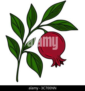 Une illustration vectorielle vibrante d'un fruit de grenade unique sur une branche avec des feuilles vertes luxuriantes, mettant en valeur un style dessiné à la main avec des contours audacieux et R Illustration de Vecteur
