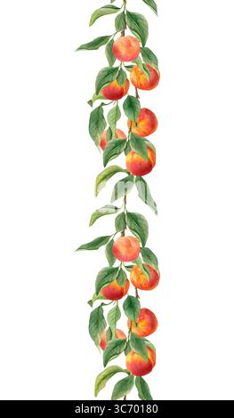 aquarelle bordure verticale dessinée à la main avec un motif sans couture avec des pêches mûres et des feuilles vertes. Parfait pour les emballages alimentaires, les impressions de cuisine, Br organique Banque D'Images