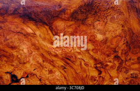 Nature afzelia burl bois rayé, bois exotique beau motif texture fond Banque D'Images