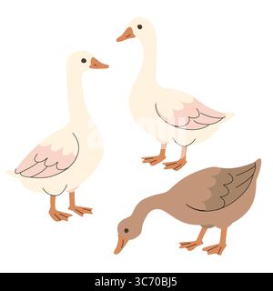 Illustration plate de trois oies dans différentes poses et couleurs. Style de dessin animé minimal avec des tons doux, idéal pour les livres pour enfants, les thèmes de la ferme Illustration de Vecteur