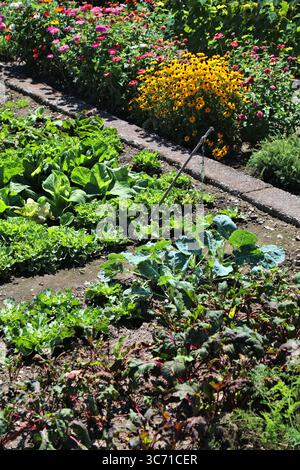 Petit jardin de légumes et de fleurs en Carinthie, Autriche. Laitue, chou-rave, chou et champ de betterave. Banque D'Images
