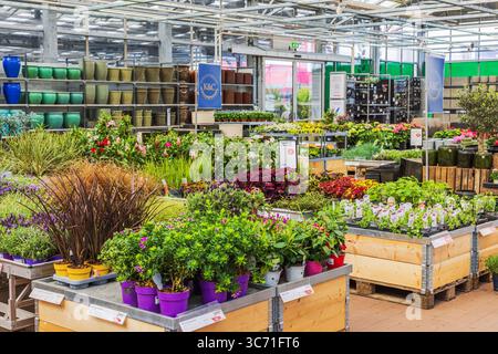 Vue large du centre de jardin coloré avec fleurs en fleurs, plantes en pot et pots en céramique sur les étagères en magasin. Suède. Uppsala. Banque D'Images