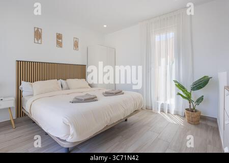 Une chambre confortable et bien éclairée avec un décor moderne, des tons doux et une touche de verdure près de la fenêtre. Banque D'Images
