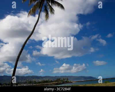4 janvier 2021 - Haleiwa, Oahu, Hawaï, États-Unis - nuages de palmiers et Kaena point du port de Haleiwa. (Crédit image : © Shalan Stewart/ZUMA Wire/ZUMAPRESS.com) Banque D'Images