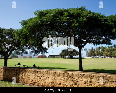 4 janvier 2021 - Haleiwa, Oahu, Hawaï, États-Unis - Haleiwa Town City Park. (Crédit image : © Shalan Stewart/ZUMA Wire/ZUMAPRESS.com) Banque D'Images