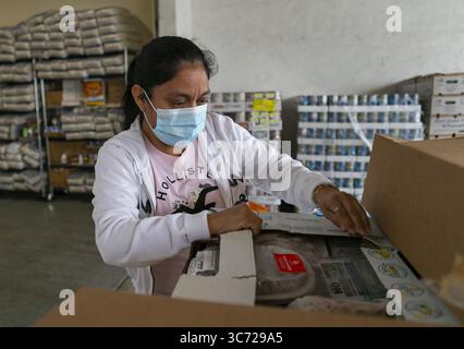 23 janvier 2021, Miami, FL : Olga Perez trie des boîtes de fruits et légumes lors d'un événement de distribution de nourriture pour les familles migrantes de travailleurs agricoles au Centre guatémaltèque Maya à Lake Worth, Floride, le 15 janvier 2020. (Crédit image : © TNS via ZUMA Wire) Banque D'Images