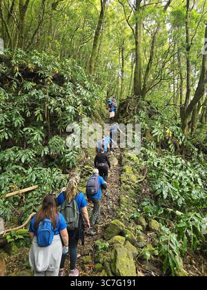Les participants qui courent et font de la randonnée à travers des sentiers forestiers luxuriants et des rues historiques de la ville lors de l’événement Trail Real Priolo sur l’île de São Miguel, aux Açores, Banque D'Images