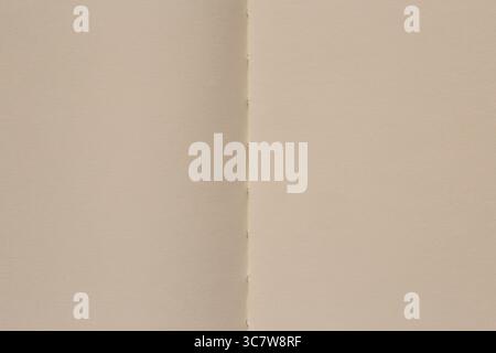 toile de fond abstraite pour certains messages : deux pages vierges du bloc-notes ouvert Banque D'Images