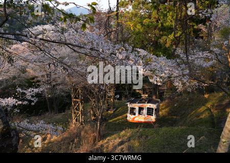 YOSHINO, JAPON – 9 avril 2025 - vue du téléphérique Yoshino Ropeway reliant la gare de Yoshino à Yoshinoyama pendant la saison des cerisiers en fleurs. Yoshino est un Banque D'Images