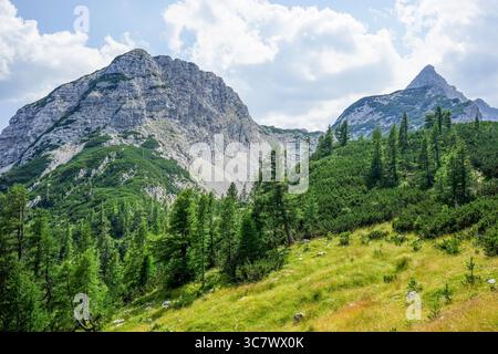 Pic de Viševnik du Nord-est, Slovénie Banque D'Images
