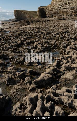 La marée basse révèle le paysage rocheux de Nash point, au pays de Galles. Les visiteurs explorent les formations côtières uniques et les falaises en couches. Banque D'Images