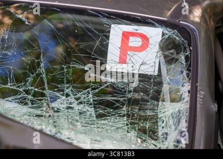 Accident de voiture, conducteur de plaque P écrasé dans un arbre, route rurale, Queensland Australie Banque D'Images