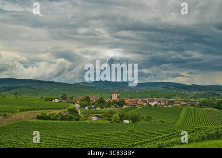 Été dans la région de Kaiserstuhl en Allemagne Banque D'Images