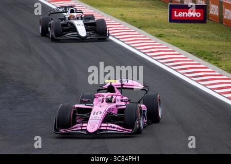 10 MINI Gabriele (ita), Prema Racing, Dallara F2 2024, action lors de la 10ème manche du Championnat FIA de formule 2 2025 du 1er au 3 août 2025 sur le Hungaroring, à Mogyorod, Hongrie - photo DPPI Banque D'Images
